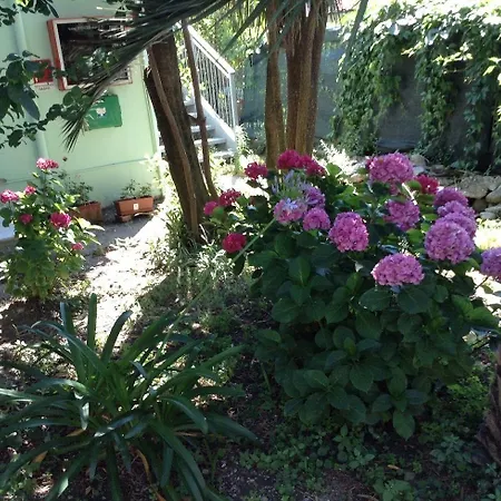 ホテル Arco Del Sole 3*