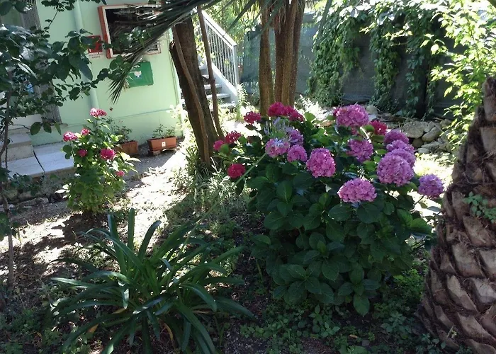 ホテル Arco Del Sole 3*